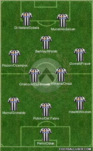 Udinese Formation 2013