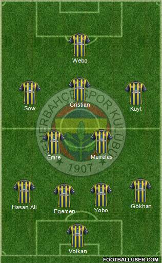 Fenerbahçe SK Formation 2013