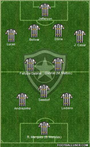 Botafogo FR Formation 2013