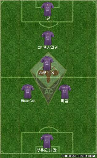 Fiorentina Formation 2013