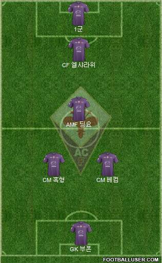 Fiorentina Formation 2013