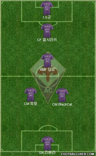 Fiorentina Formation 2013