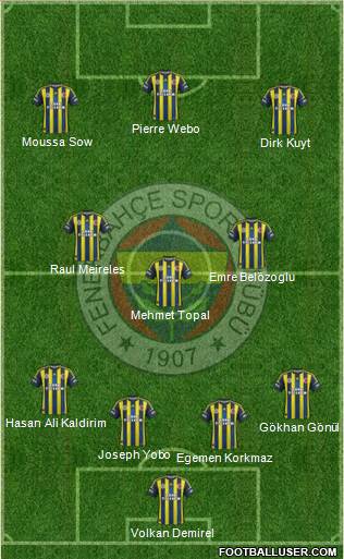 Fenerbahçe SK Formation 2013