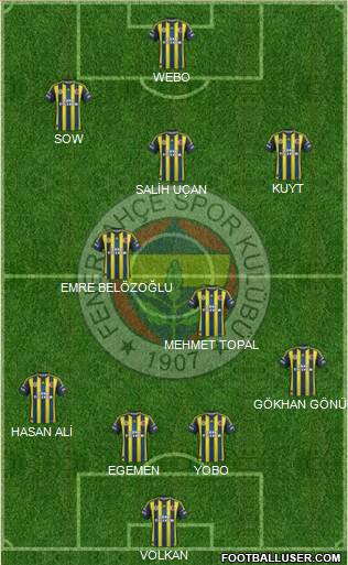 Fenerbahçe SK Formation 2013