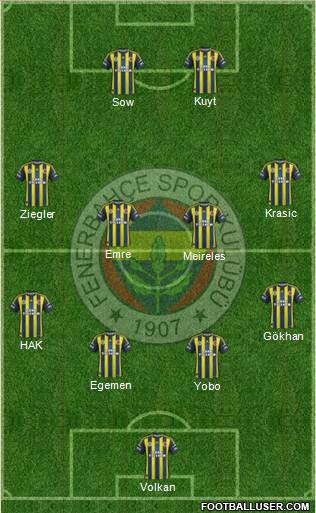 Fenerbahçe SK Formation 2013
