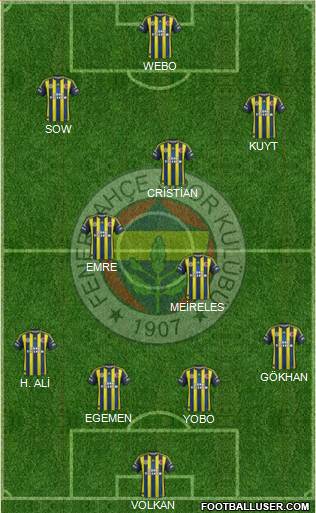 Fenerbahçe SK Formation 2013