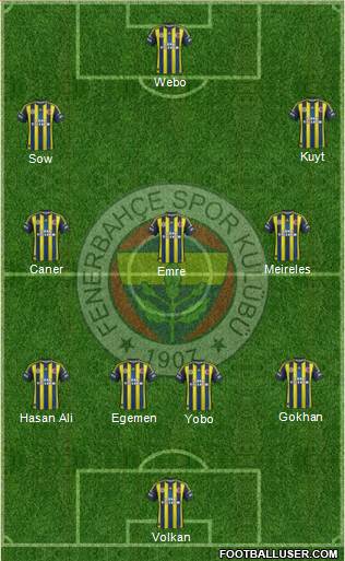 Fenerbahçe SK Formation 2013