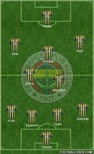 Fenerbahçe SK Formation 2013