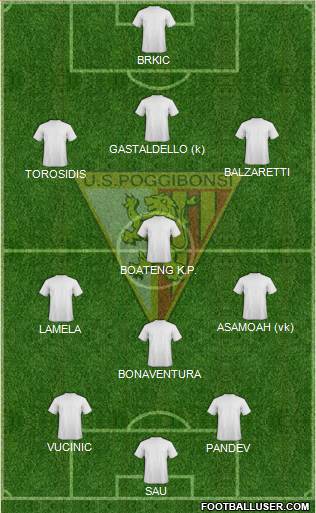 Poggibonsi Formation 2013
