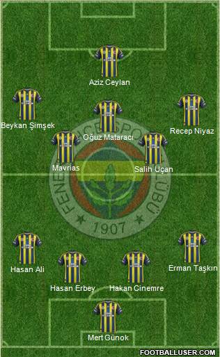 Fenerbahçe SK Formation 2013