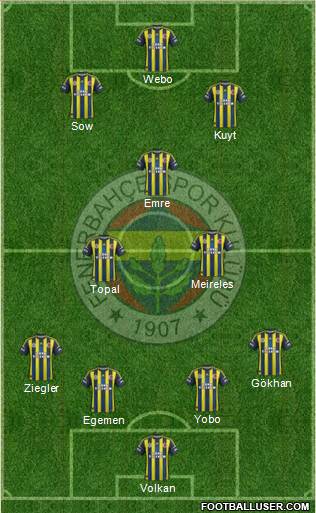 Fenerbahçe SK Formation 2013