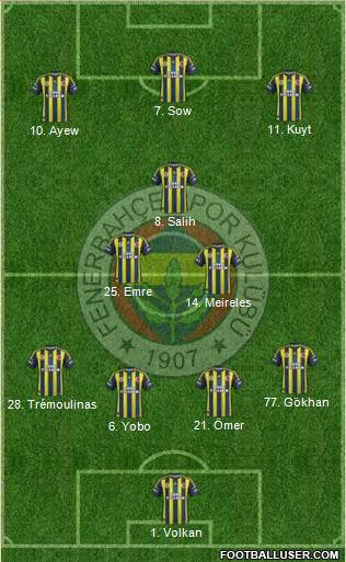 Fenerbahçe SK Formation 2013