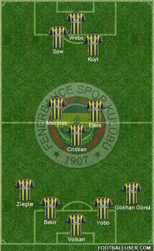 Fenerbahçe SK Formation 2013