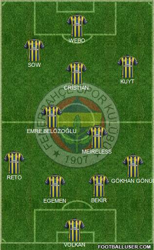 Fenerbahçe SK Formation 2013