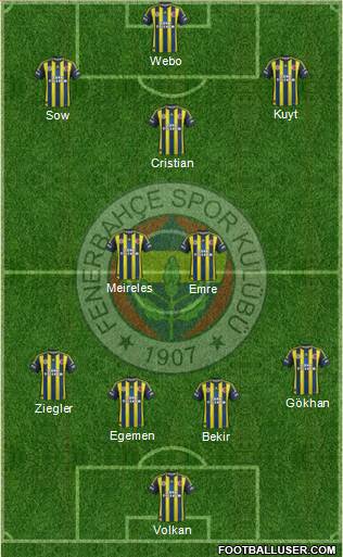 Fenerbahçe SK Formation 2013