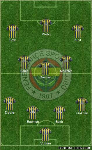 Fenerbahçe SK Formation 2013