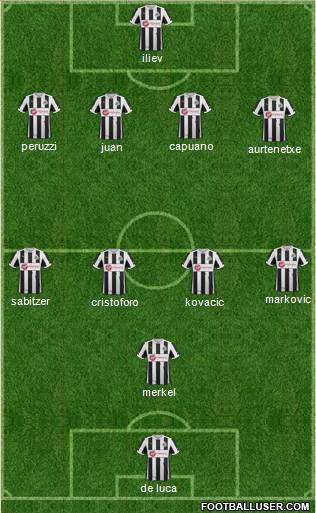 Newcastle United Formation 2013