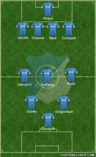 TSG 1899 Hoffenheim Formation 2013