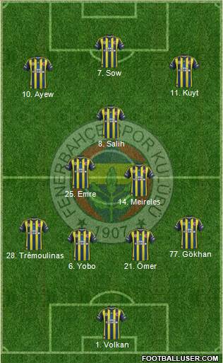 Fenerbahçe SK Formation 2013