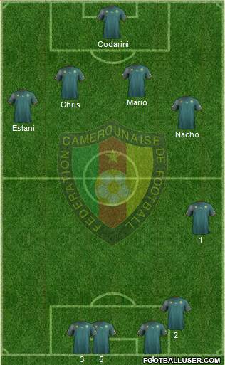 Cameroon Formation 2013