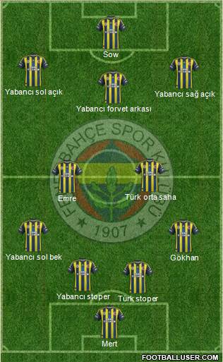 Fenerbahçe SK Formation 2013
