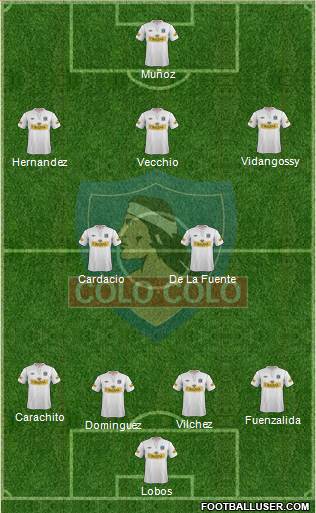 CSD Colo Colo Formation 2013
