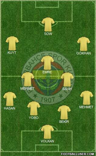 Fenerbahçe SK Formation 2013