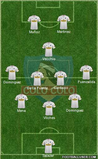 CSD Colo Colo Formation 2013