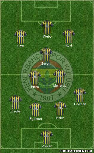 Fenerbahçe SK Formation 2013