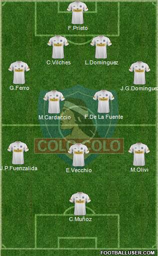 CSD Colo Colo Formation 2013