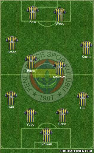 Fenerbahçe SK Formation 2013