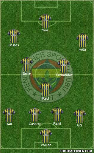 Fenerbahçe SK Formation 2013