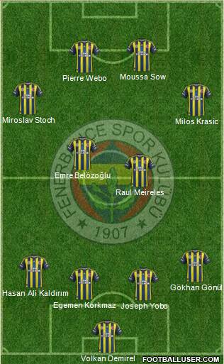 Fenerbahçe SK Formation 2013