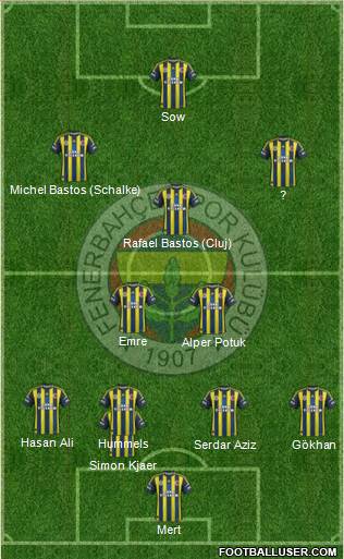 Fenerbahçe SK Formation 2013