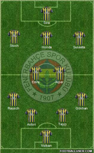 Fenerbahçe SK Formation 2013