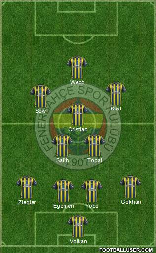 Fenerbahçe SK Formation 2013