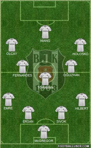 Besiktas JK Formation 2013