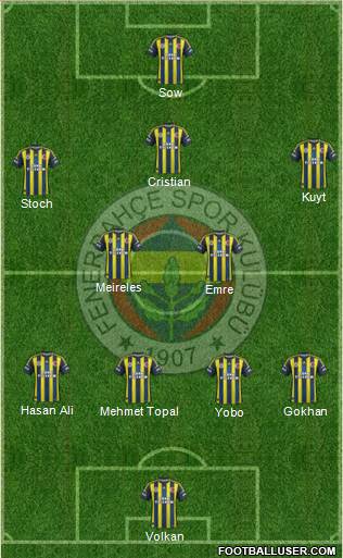 Fenerbahçe SK Formation 2013
