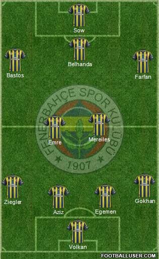 Fenerbahçe SK Formation 2013