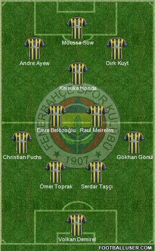 Fenerbahçe SK Formation 2013