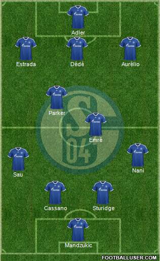 FC Schalke 04 Formation 2013