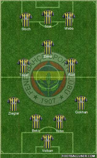 Fenerbahçe SK Formation 2013
