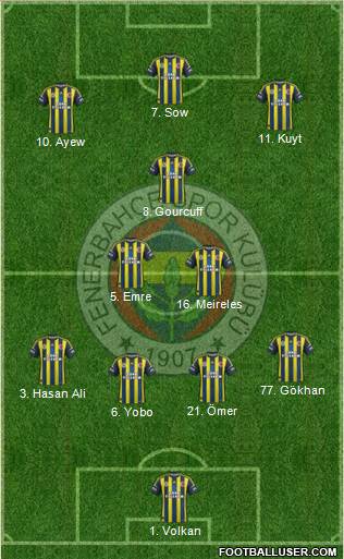 Fenerbahçe SK Formation 2013