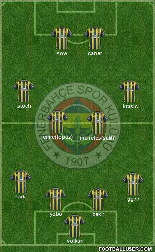 Fenerbahçe SK Formation 2013