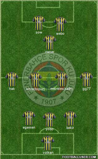 Fenerbahçe SK Formation 2013