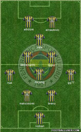 Fenerbahçe SK Formation 2013