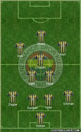 Fenerbahçe SK Formation 2013