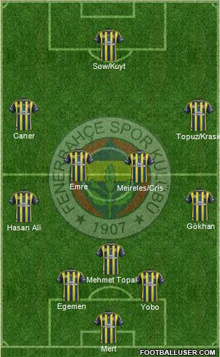 Fenerbahçe SK Formation 2013