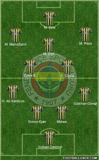 Fenerbahçe SK Formation 2013