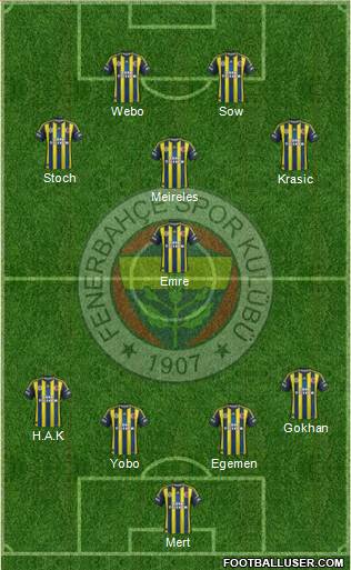 Fenerbahçe SK Formation 2013